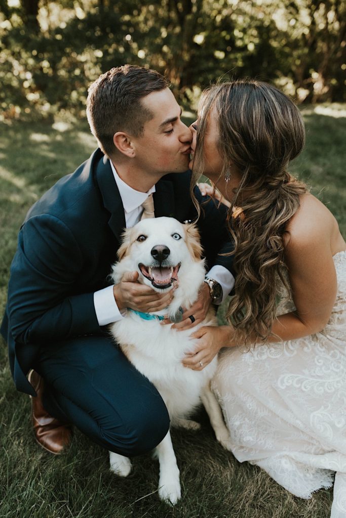 bride and groom with dog backyard wedding ann arbor michigan 