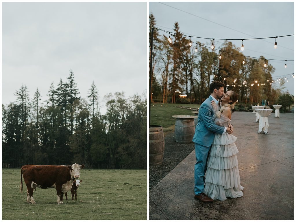 The Postlewait's outdoor dance floor and cows at wedding on Oregon Coast