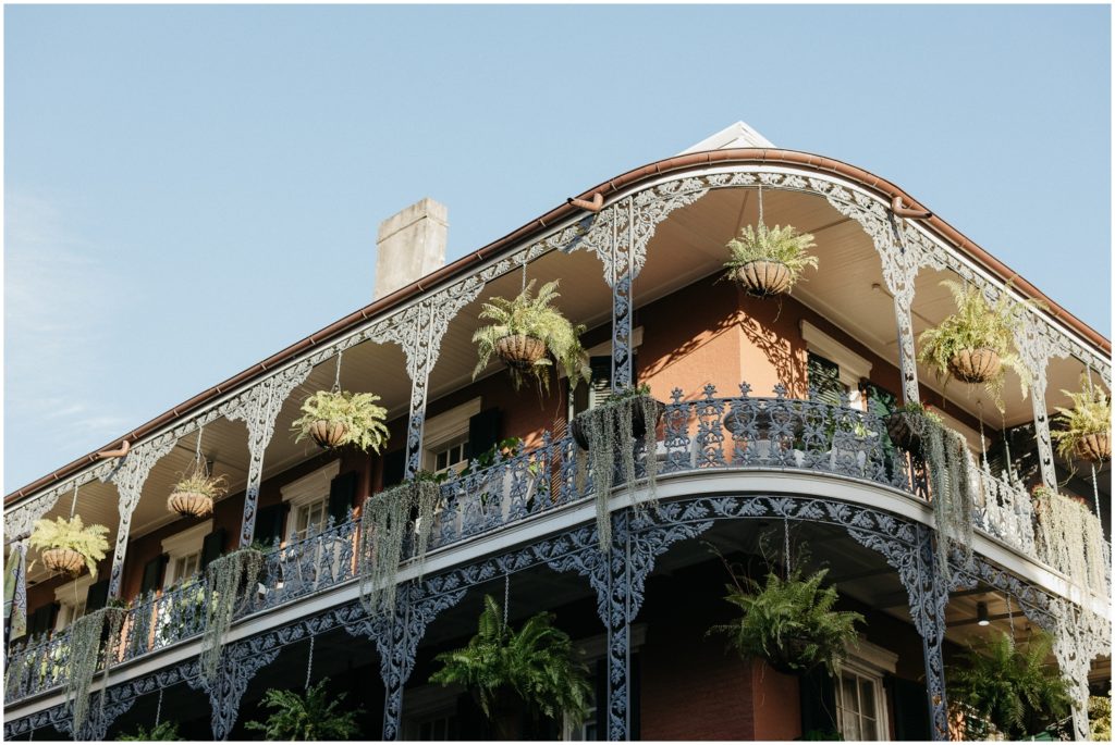 Hanging ferns line a balcony with elaborate iron rails.